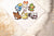Hochwertiges Pokémon Sticker Set - 2 Varianten, 6 Sticker, 5 cm Größe - Stickerloveshop