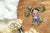 One Piece Ruffy & Zorro Sticker Anime Sticker Stickerloveshop Ruffy & Zorro  